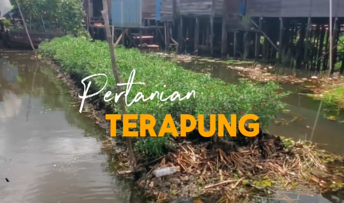 Pertanian Terapung