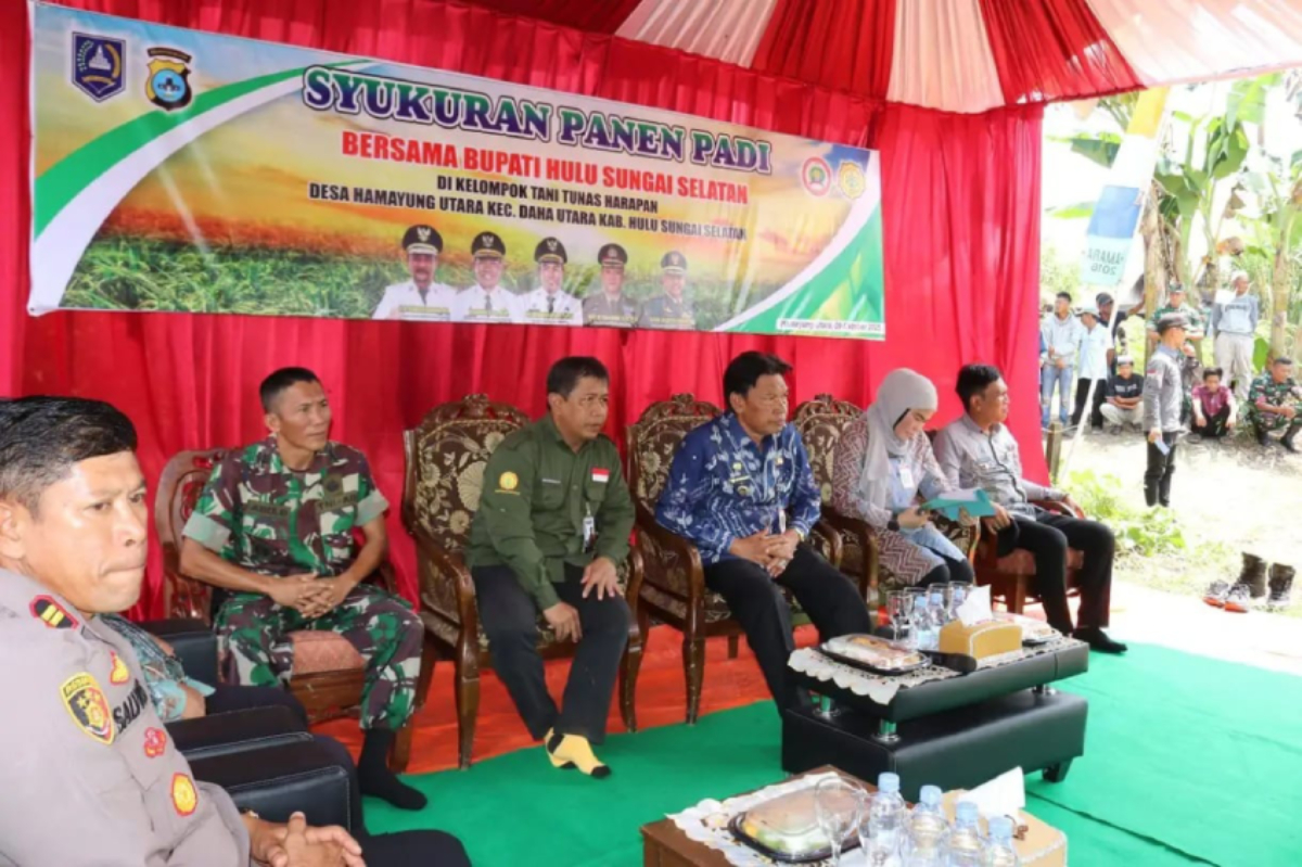 Gerakan Panen Cabai & Syukuran Panen Padi di Daha Utara, Pemkab HSS Tegaskan Komitmen Dukung Inovasi Pertanian