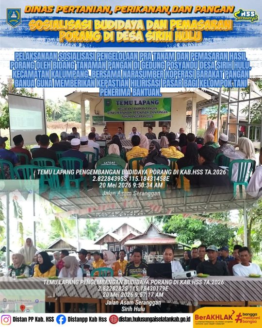 Sosialisasi Budidaya dan Pemasaran Porang di Desa Sirih Hulu