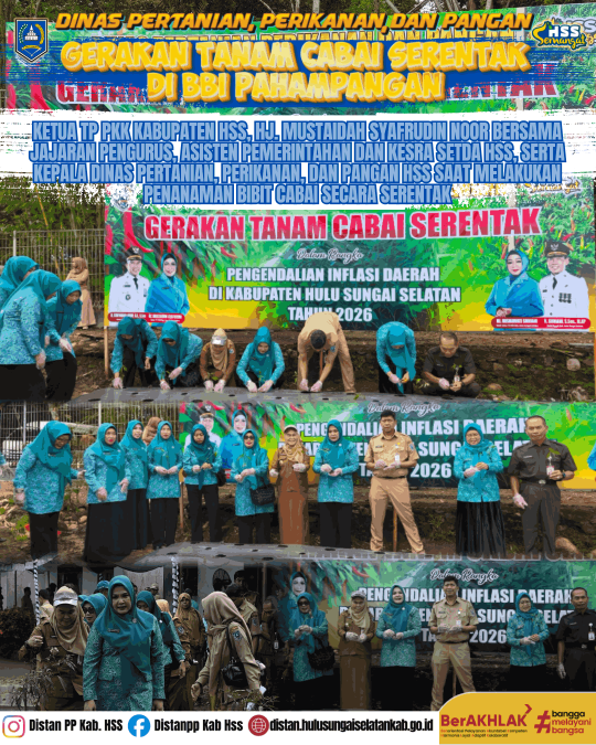 Gerakan Tanam Cabai Serentak di BBI Pahampangan