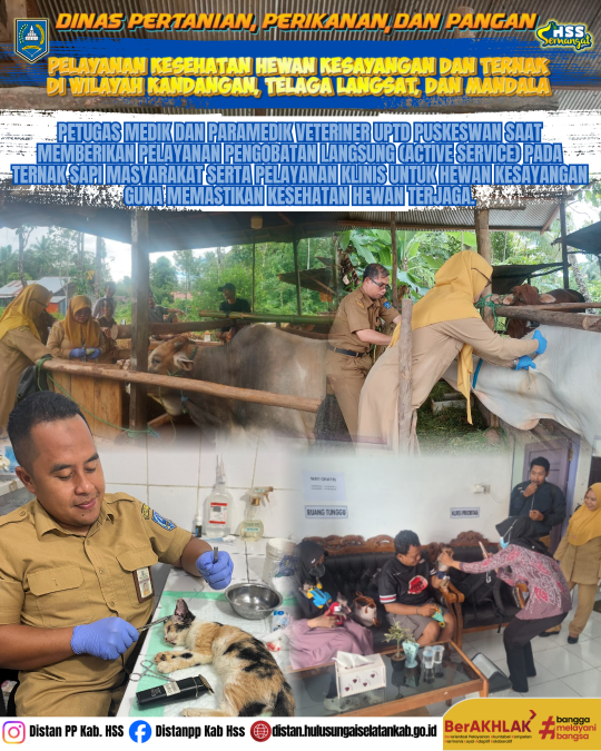 Pelayanan Kesehatan Hewan Kesayangan dan Ternak di Wilayah Kandangan, Telaga Langsat, dan Mandala