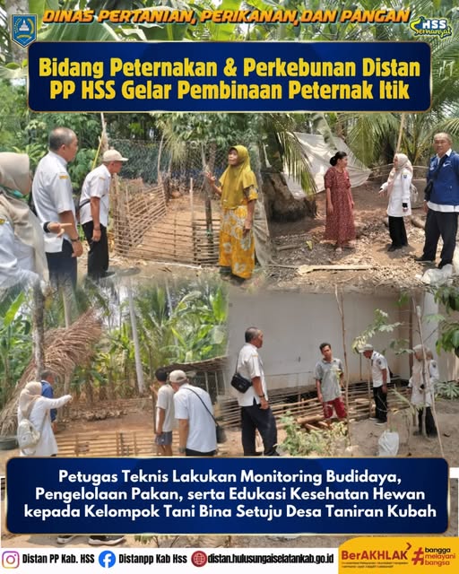 Perkuat Peternak Itik, Tingkatkan Produktivitas